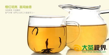 正山小種紅茶批發(fā) 廠價(jià)直供與移動互聯(lián)網(wǎng)研發(fā)維護(hù)新視界